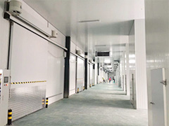 中储肉 新建6万m³大型冷冻库交付使用
